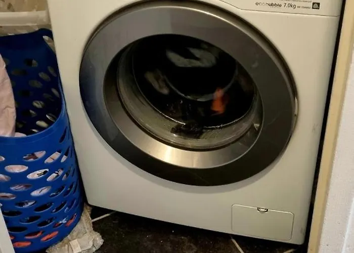 Joli Dans Ma Maison ホームステイ リモネスト